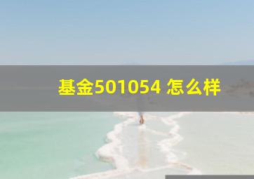 基金501054 怎么样